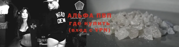 стаф Баксан