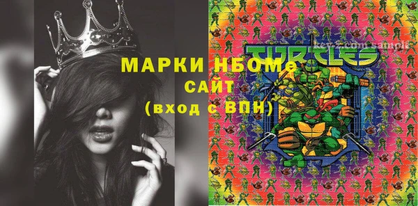 стаф Баксан